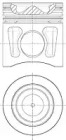 WILMINK GROUP wg1175179 -